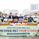 구청 남측광장 이미지