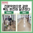 조치원읍 중앙요양병원 | 김해 요양병원 바닥청소 후기｜인증평가 대비 타일세척왁스코팅 실제 과정