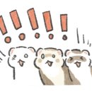도어러브스튜디오