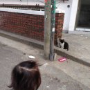 최*효