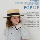 더 마이스토어
