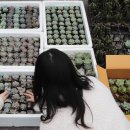 화원세탁소 이미지