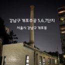 양전초등학교 | 드디어 개도 포르쉐 탄다!! 개포주공 5,6,7단지 임장 후기