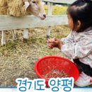 만골목장 네이버블로그