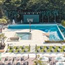 인앤양양 이미지