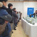 수성다듬이 이미지