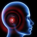 전주벨톤보청기 이미지