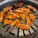 잡앗닭