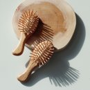 (주)한국쉬즈라인 이미지