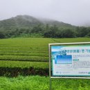 일품행정사 네이버블로그