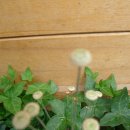 가람농원 이미지