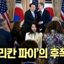 American Pie(아메리칸 파이) - 노래 윤석열 대통령 이미지