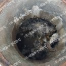 남악로 162번길 이미지