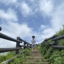 표선도서관 이미지