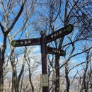 바람고개길 | [공지] 배내고개 출발 능동산 재약산 천황산 3봉 연계산행 기록