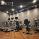 프로바디핏 이미지