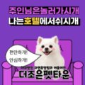 참조은펫 이미지
