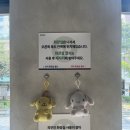청주 성안길 덕수파스타 후기 | 혼밥도 데이트도 좋은 파스타 맛집