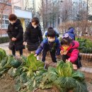 김천부곡초등학교 유치원 이미지