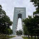 국수나무 화봉점 | 여름 ☘️