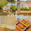 세오니네 이미지