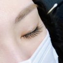 샵히니