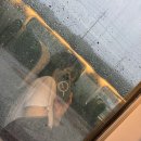 몬푸즈