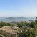 청보라정원