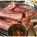 바글바글제주 이미지