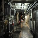 [타이페이] 용산사 광저우거리야시장 밤, 골목길 서정 이미지