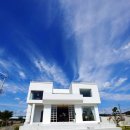 용천리 곡강천 | 포항 애견동반카페 곡강힐즈 그림이 따로없네요