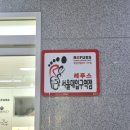 레푸스MS 이미지