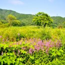 김영래농장 이미지