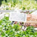 케이에스팜 이미지