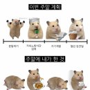 디파트글램핑장 생생후기🌳