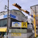 도그파우 이미지