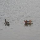 김해민속박물관 이미지