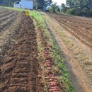 주영농산 이미지