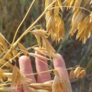 메디컴바인 이미지