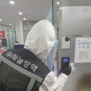 창조방역
