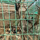 금식농장 이미지