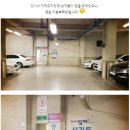 정서동물병원 | 인천 간석동 동물병원 정서동물병원 위치 오는길 후기