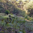 송산면사무소 이미지