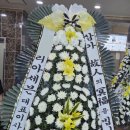 영동꽃집