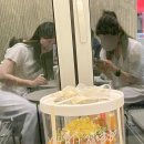 더로플 이미지