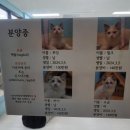 솔빈 마루 이미지