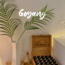 우리가족 힐링 아트테라피 | 일산] 10년 경력의 섬세한 손길, 일산 라페스타 "아트핏테라피" 프리미엄 1:1 아로마 마사지 맞춤관리 후기