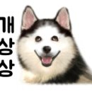 슈가팸팸 이미지