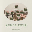 박예정x라채움 꽃 예술학원