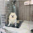 이솜동물병원 이미지